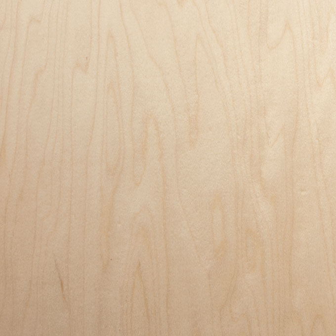 Maple Vs Oak A Comparison Of Kitchen Cabinet Materials   Species Maple 